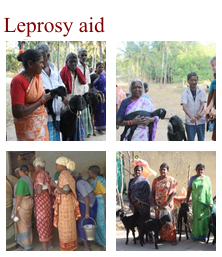 Ccara Leprosy-Aid